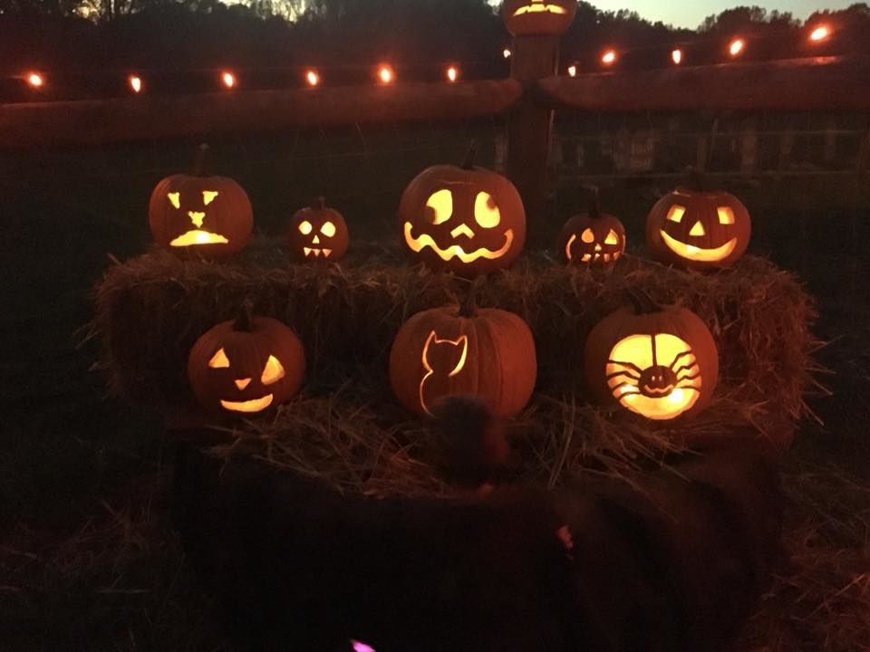 Green Meadow Petting Farm Trail of Jack-O-Lanterns